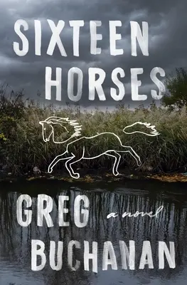 Sedici cavalli - Sixteen Horses