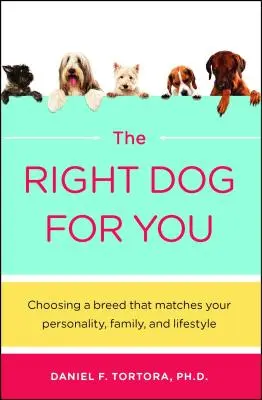 Il cane giusto per te - Right Dog for You