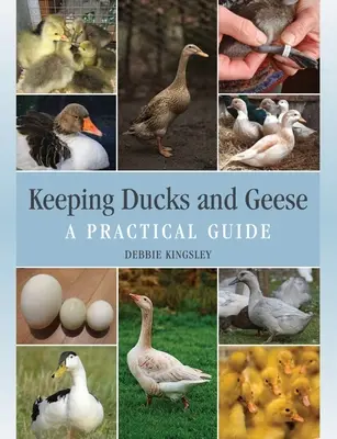 Allevare anatre e oche: una guida pratica - Keeping Ducks and Geese - A Practical Guide