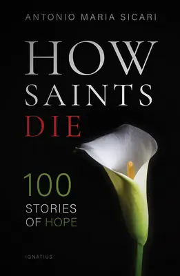 Come muoiono i santi: 100 storie di speranza - How Saints Die: 100 Stories of Hope
