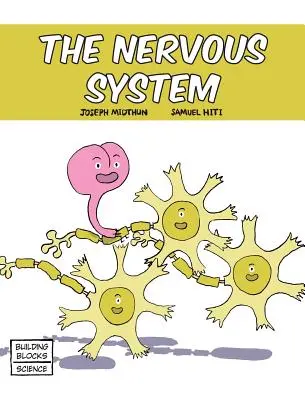 Il sistema nervoso - The Nervous System