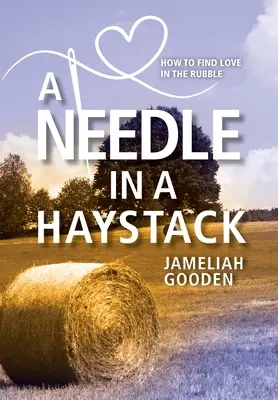Un ago in un pagliaio: Come trovare l'amore tra le macerie - A Needle in a Haystack: How to Find Love in the Rubble
