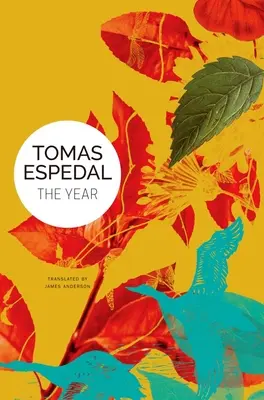 L'anno - The Year