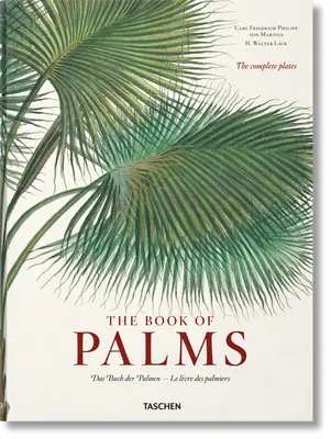 Martius. il libro delle palme - Martius. the Book of Palms