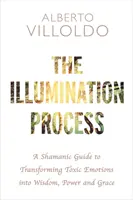 Processo di illuminazione - Una guida sciamanica per trasformare le emozioni tossiche in saggezza, potere e grazia - Illumination Process - A Shamanic Guide to Transforming Toxic Emotions into Wisdom, Power, and Grace