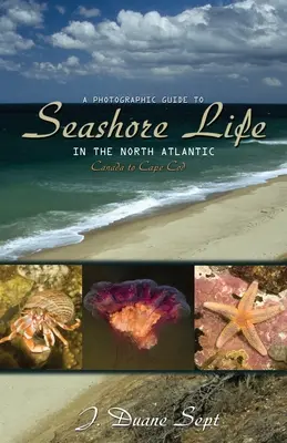 A Photographic Guide to Seashore Life in the North Atlantic: Dal Canada a Cape Cod - A Photographic Guide to Seashore Life in the North Atlantic: Canada to Cape Cod