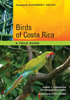 Uccelli della Costa Rica: Una guida da campo - Birds of Costa Rica: A Field Guide