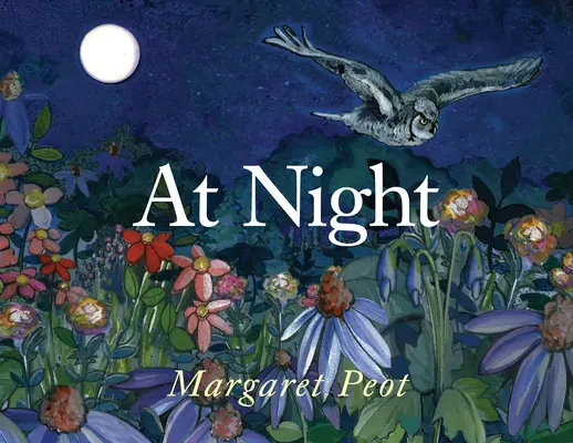 Di notte - At Night
