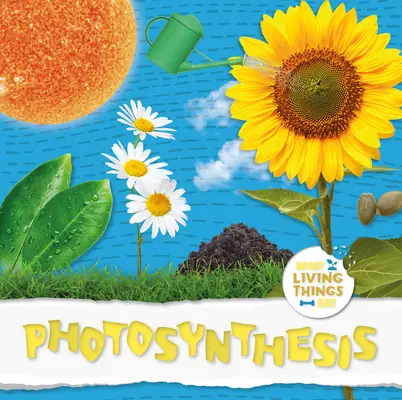 Fotosintesi - Photosynthesis