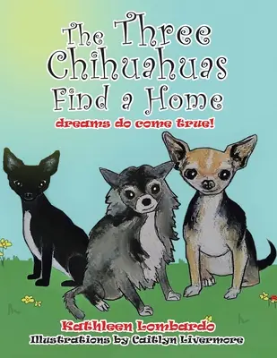 I tre chihuahua trovano casa - The Three Chihuahuas Find a Home