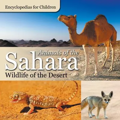 Animali del Sahara Animali selvatici del deserto Enciclopedie per bambini - Animals of the Sahara Wildlife of the Desert Encyclopedias for Children