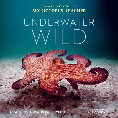 Underwater Wild: Lo straordinario mondo del mio insegnante di polpo - Underwater Wild: My Octopus Teacher's Extraordinary World
