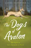 I cani di Avalon: La corsa per salvare gli animali in pericolo - The Dogs of Avalon: The Race to Save Animals in Peril
