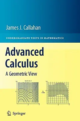 Calcolo avanzato: Una visione geometrica - Advanced Calculus: A Geometric View
