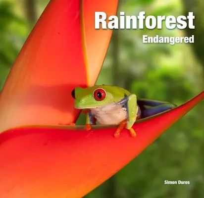 Foresta pluviale: In pericolo - Rainforest: Endangered