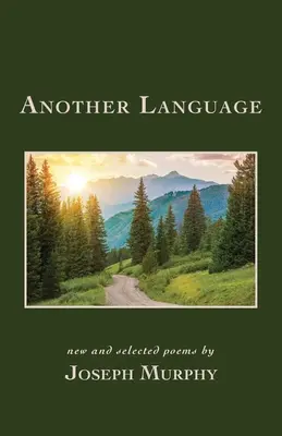 Un altro linguaggio - Another Language