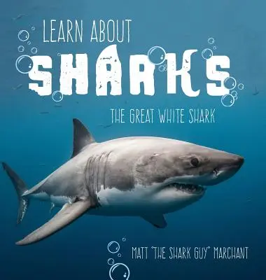Impariamo a conoscere gli squali: Lo squalo bianco - Learn About Sharks: The Great White Shark
