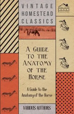 Guida all'anatomia del cavallo - Una raccolta di articoli storici sullo scheletro, gli zoccoli, i denti, la locomozione e altri aspetti dell'anatocismo equino - A Guide to the Anatomy of the Horse - A Collection of Historical Articles on the Skeleton, Hoof, Teeth, Locomotion and Other Aspects of Equine Anato