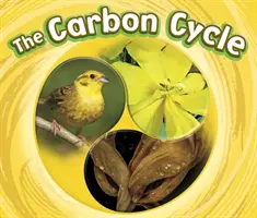 Ciclo del carbonio - Carbon Cycle