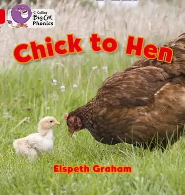 Da pulcino a gallina - Chick to Hen
