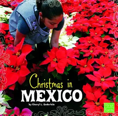 Natale in Messico - Christmas in Mexico