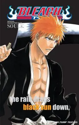 Bleach: Anime. Libro ufficiale dei personaggi [con adesivi]. - Bleach: Souls. Official Character Book [With Stickers]