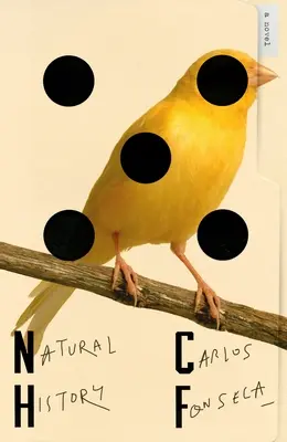 Storia naturale - Natural History