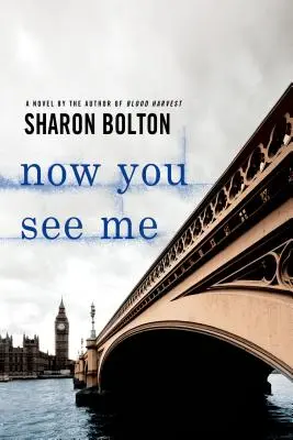 Ora mi vedi: un romanzo di Lacey Flint - Now You See Me: A Lacey Flint Novel