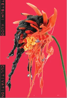 Tetsumi Kudo: Coltivazione - Tetsumi Kudo: Cultivation