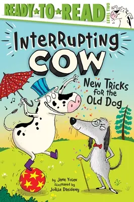 Nuovi trucchi per il vecchio cane - New Tricks for the Old Dog