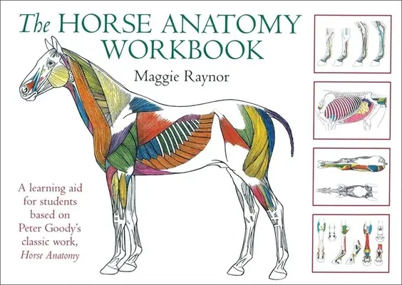 Il manuale di anatomia del cavallo: Un aiuto all'apprendimento per gli studenti basato sull'opera classica di Peter Goody, Anatomia del cavallo - The Horse Anatomy Workbook: A Learning Aid for Students Based on Peter Goody's Classic Work, Horse Anatomy