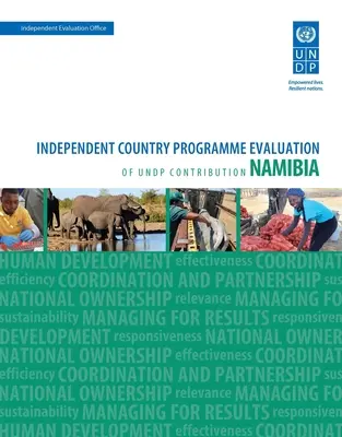 Valutazione dei risultati dello sviluppo - Namibia: valutazione indipendente del programma nazionale del contributo dell'Undp - Assessment of Development Results - Namibia: Independent Country Programme Evaluation of Undp Contribution