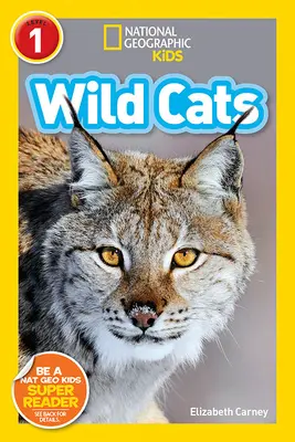 Gatti selvatici - Wild Cats