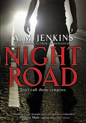Strada notturna - Night Road