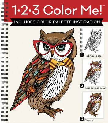 1-2-3 Colorami (Libro da colorare per adulti con una varietà di immagini - Copertina con gufo) - 1-2-3 Color Me! (Adult Coloring Book with a Variety of Images - Owl Cover)