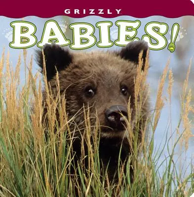 Bambini Grizzly! - Grizzly Babies!