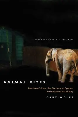 Riti animali: Cultura americana, discorso della specie e teoria postumanista - Animal Rites: American Culture, the Discourse of Species, and Posthumanist Theory