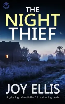 THE NIGHT THIEF un thriller avvincente pieno di colpi di scena - THE NIGHT THIEF a gripping crime thriller full of stunning twists