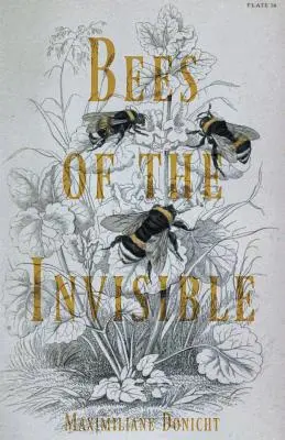 Le api dell'invisibile - Bees of the Invisible