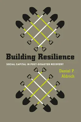Costruire la resilienza: Il capitale sociale nel recupero post-catastrofe - Building Resilience: Social Capital in Post-Disaster Recovery