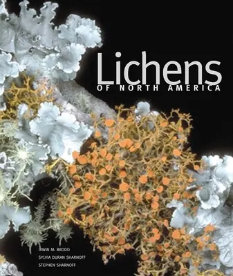Licheni del Nord America - Lichens of North America