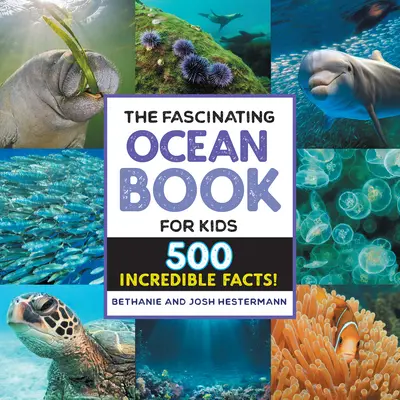 L'affascinante libro degli oceani per bambini: 500 fatti incredibili! - The Fascinating Ocean Book for Kids: 500 Incredible Facts!