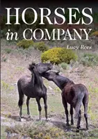 Cavalli in compagnia - Horses in Company