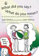 Che cosa hai detto? Cosa vuoi dire?: una guida illustrata alla comprensione delle metafore - What Did You Say? What Do You Mean?: An Illustrated Guide to Understanding Metaphors