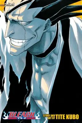 Bleach, Volumi 13-15 - Bleach, Volumes 13-15