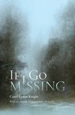 Se sparisco - If I Go Missing