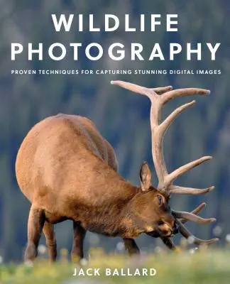 Fotografia della fauna selvatica: Tecniche comprovate per catturare immagini digitali straordinarie - Wildlife Photography: Proven Techniques for Capturing Stunning Digital Images