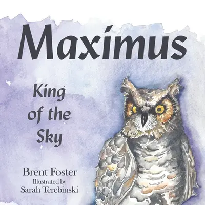 Massimo: Re del cielo - Maximus: King of the Sky