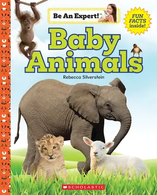 Piccoli animali (Diventa un esperto!) - Baby Animals (Be an Expert!)