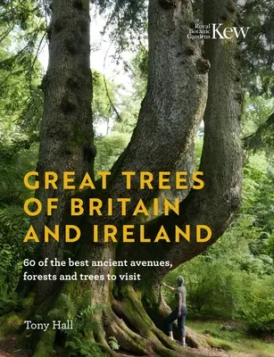 I grandi alberi della Gran Bretagna e dell'Irlanda: 60 tra i migliori viali, foreste e alberi antichi da visitare - Great Trees of Britain and Ireland: 60 of the Best Ancient Avenues, Forests and Trees to Visit